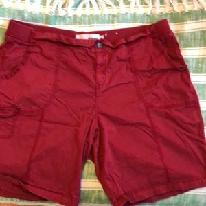 Bermuda Shorts